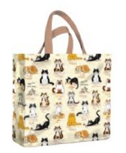 Samuel Lamont 'When The Cat's Away' PVC Mini Gusset Bag